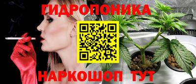 каннабис Моздок